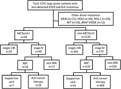 Survival outcomes and prognostic factors of lung cancer patients with the MET exon 14 skipping mutation: A single-center real-world study
